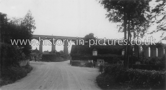 The Railway Viaduct, Chappel, Essex. c.1905